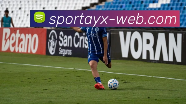 爱游戏平台生态图